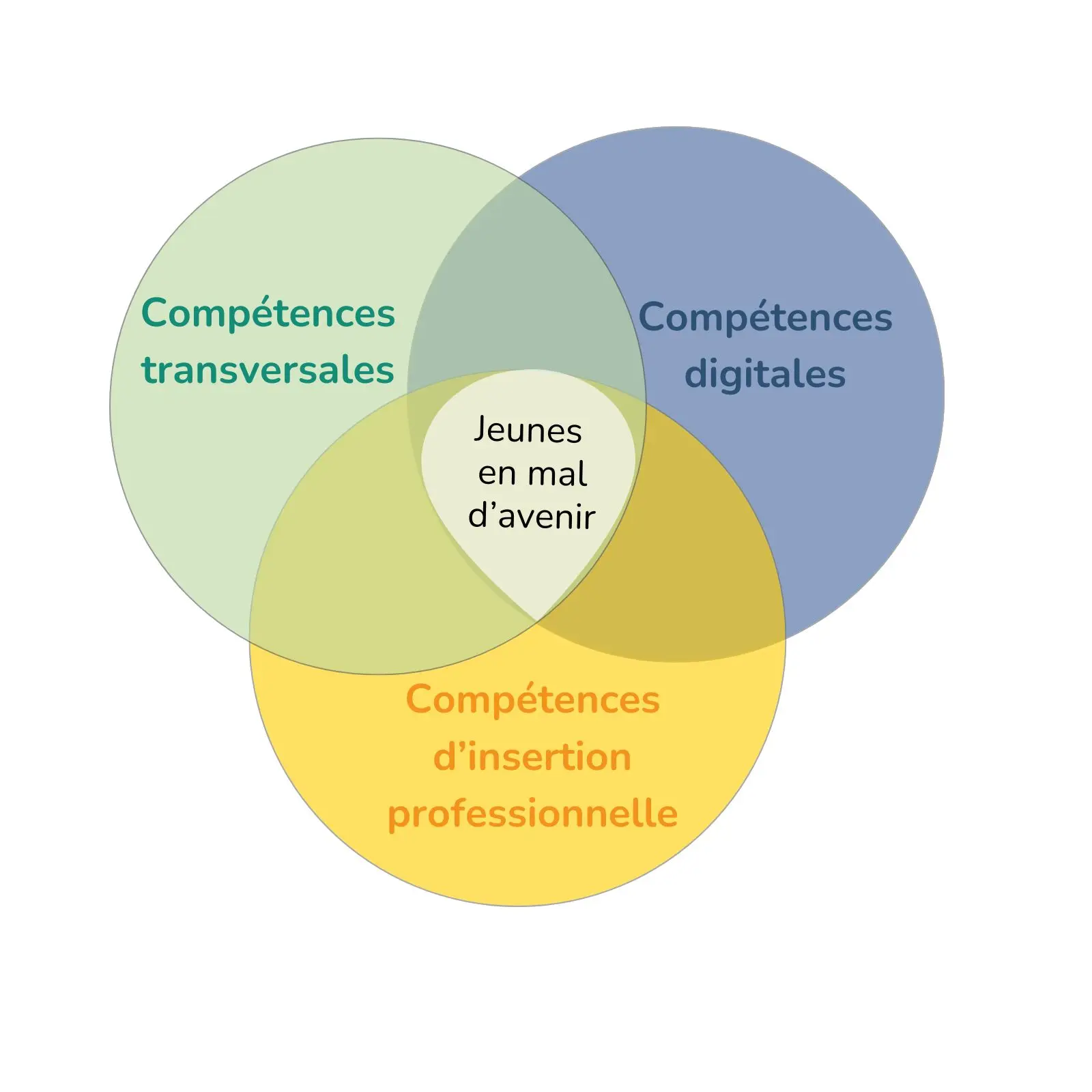 Graphique des compétences YouthSeeding